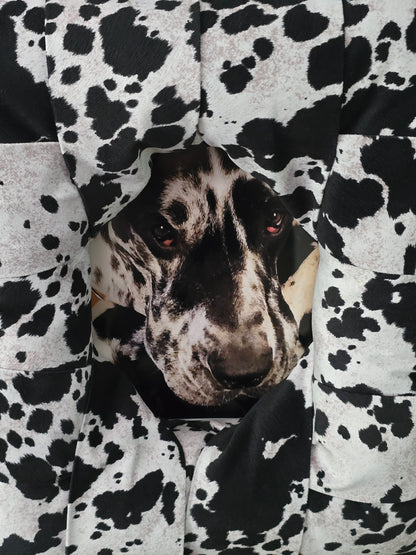 A close-up of a photo of a black and white spotted dog in a matching black and white spotted overstuffed picture frame, with the dog's face peeking through the fabric.